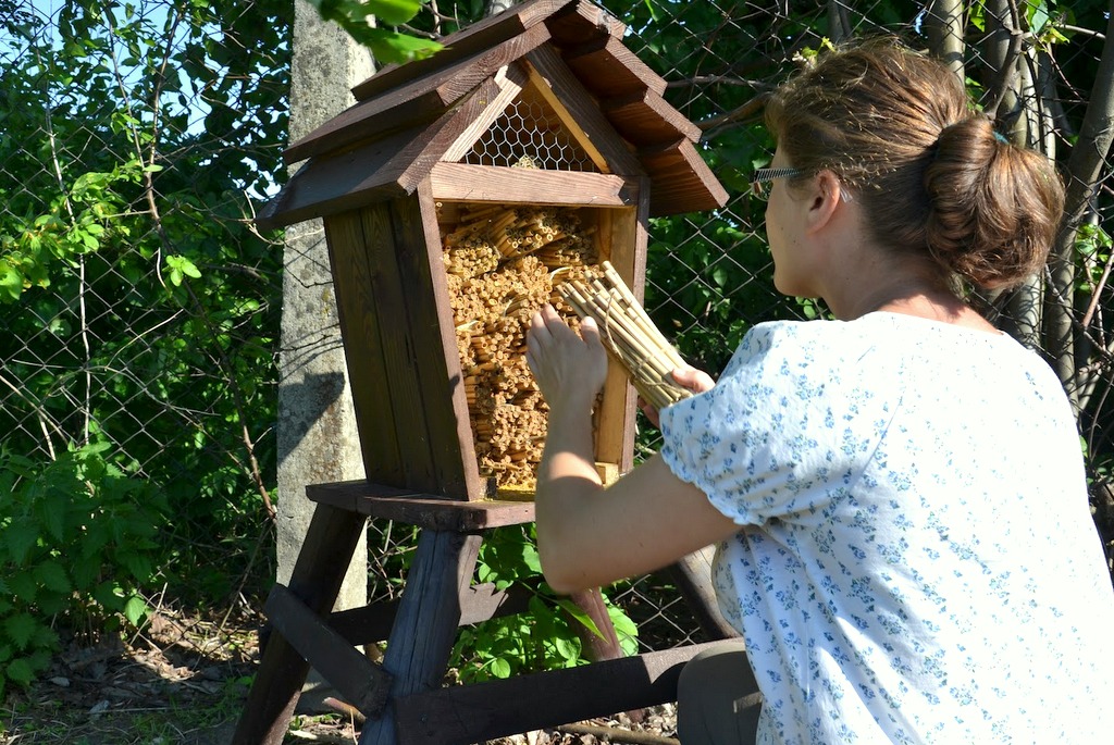 Domek dla pszczół samotnic.