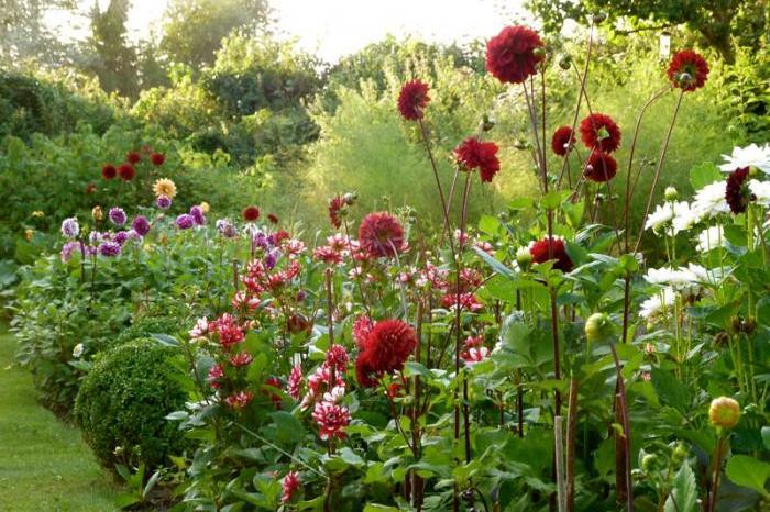 Romantyczny ogród w Dorset