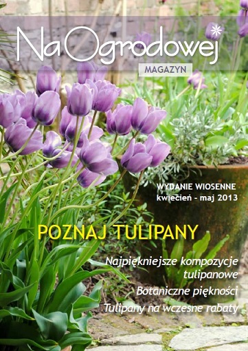 E-Magazyn Tulipany