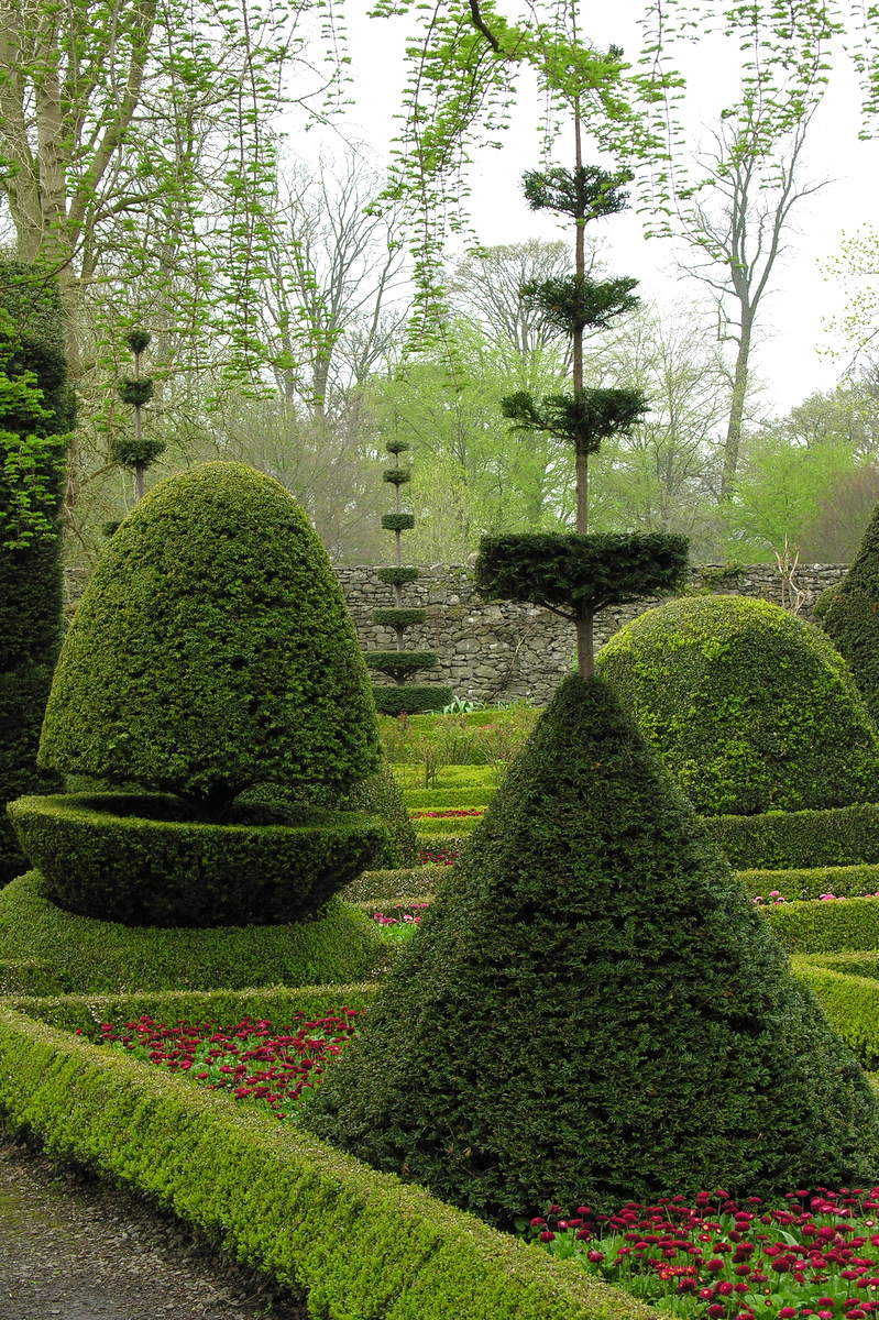 Topiary w Levens Hall.