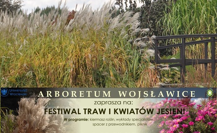 Festiwal traw i kwiatów jesieni