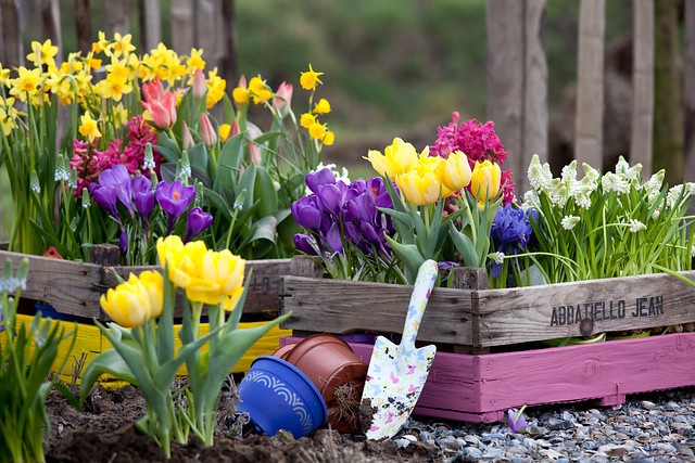 Laureaci konkursu: Wiosenny ogród w kolorach tęczy