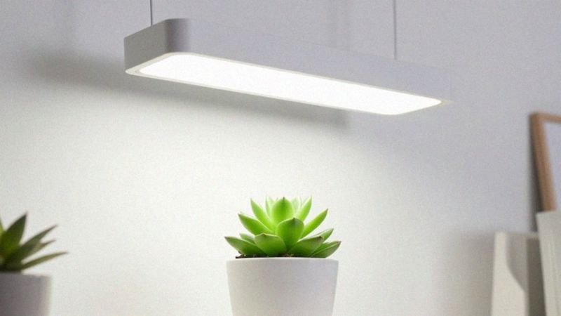 Jak dobrać natężenie światła i liczbę lumenów?