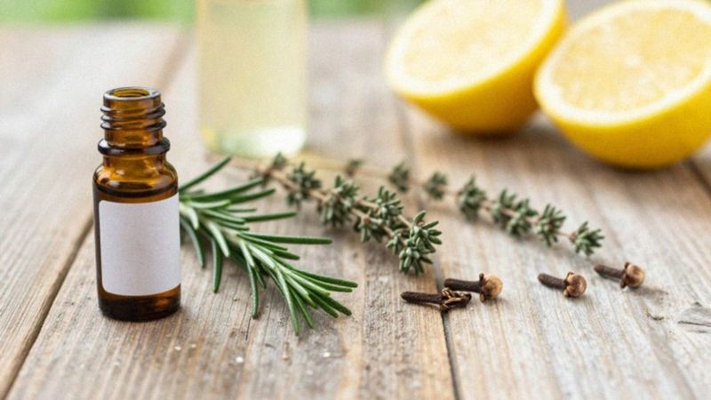 Które naturalne sposoby odstraszają kleszcze?