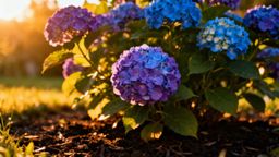 Dlaczego hortensje nie kwitną? Sprawdź przyczyny i sposoby na obfite kwitnienie