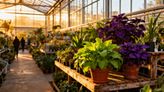 Ogród Łobzów w Krakowie — historia, rośliny i nowoczesne podejście do ogrodnictwa