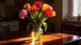 Tulipany i goździki w jednym wazonie — jak stworzyć efektowną kompozycję?