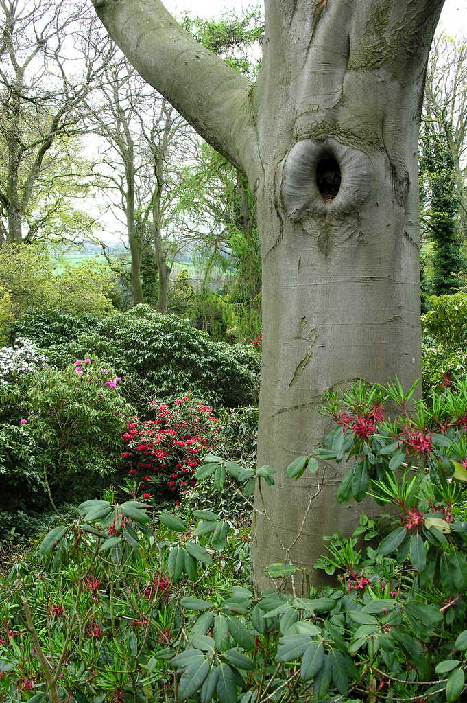 Dorothy Clive Gardens. Fot. K Bellingham 