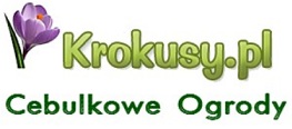 krokusy.pl