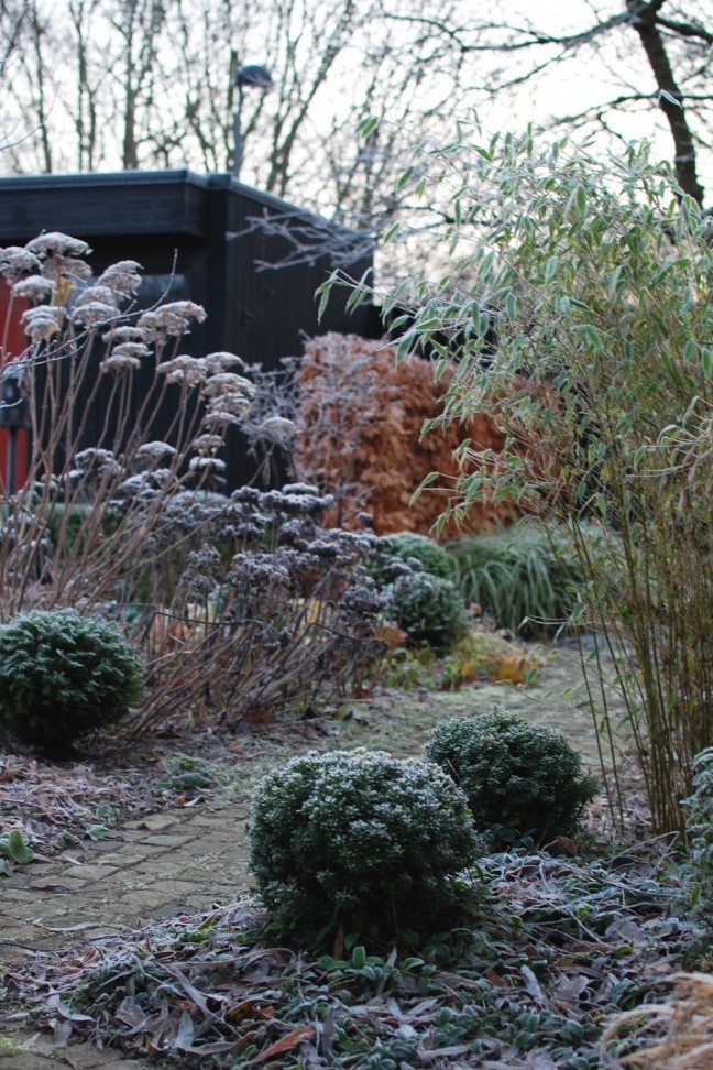 Ogród Marii - piękny zimą. Żródło: http://poezja-designu.pl