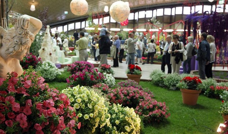 Międzynarodowa Wystawa Kwiatów w Chorzowie