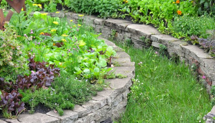 Rabaty wzniesione ułatwią życie ogrodnika