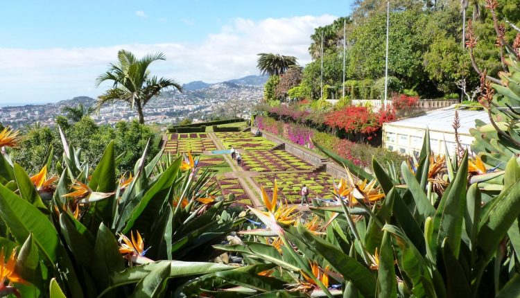 Ogród Botaniczny na Maderze