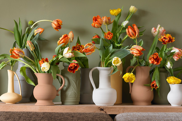 Tulipan jako kwiat cięty