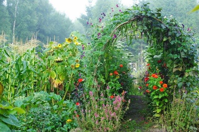 Warzywny ogród wertykalny