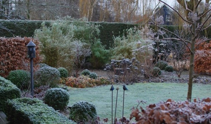 Zimowy ogród Marii w Szwecji