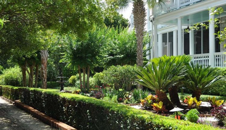 Charleston – miasto ogrodów