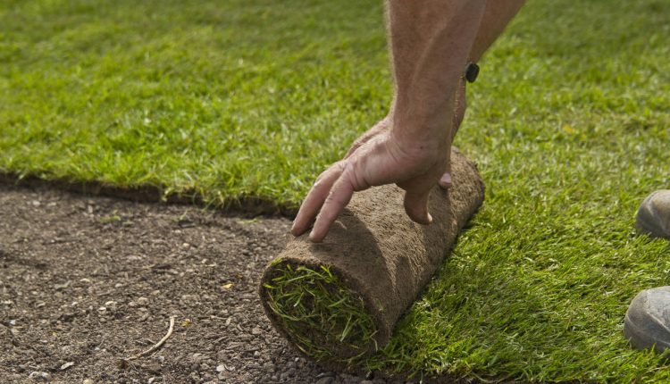 Zakładanie trawnika z rolki krok po kroku