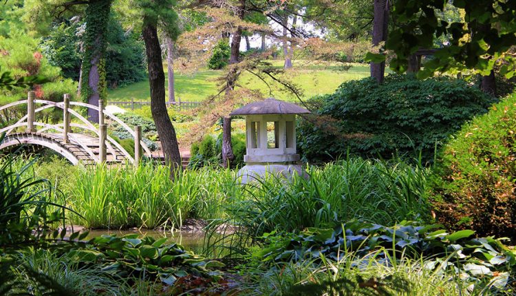 Nowoczesna odsłona klasycznego Orientu. Jak urządzić piękny i funkcjonalny ogród w stylu japońskim?