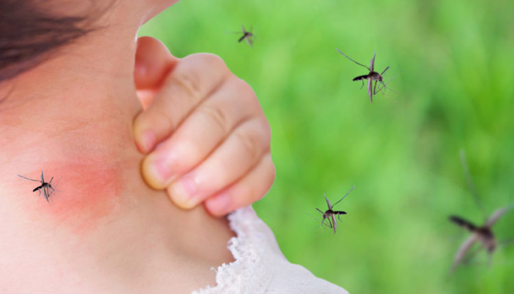 Jakie środki odstraszające na owady warto zastosować, by zminimalizować ryzyko ukąszenia?